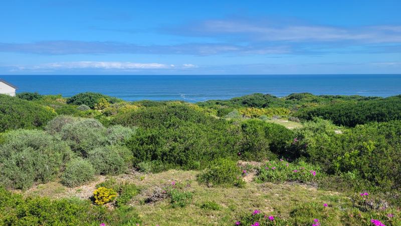 0 Bedroom Property for Sale in Dana Bay Western Cape